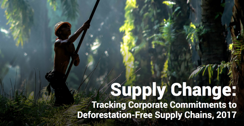 Supply Chain - palm oil