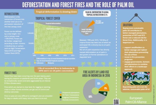 palm oil