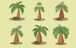 Reforestation through oil palm in Indonesia: a study confirms